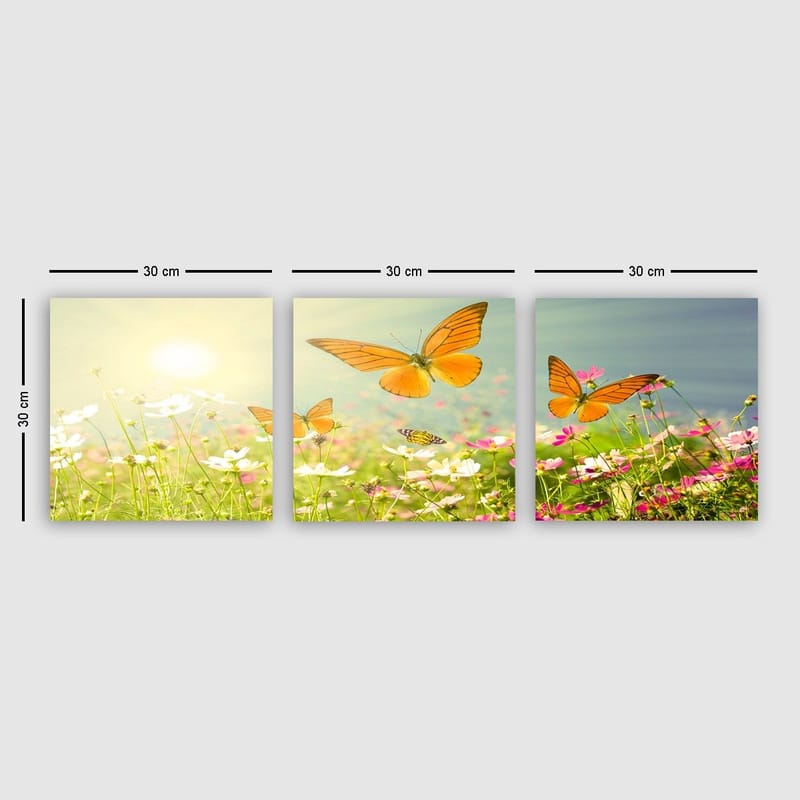 Dekorativ Canvasbillede 3-Dele 30x30 cm, Flerfarvet
