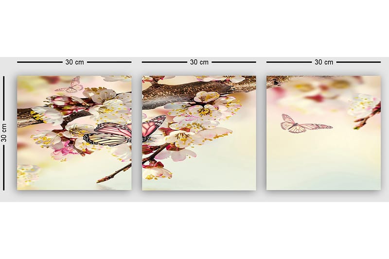 Dekorativ Canvasbillede 3-Dele 30x30 cm - Flerfarvet - Boligtilbehør - Billeder & kunst - Billeder på lærred