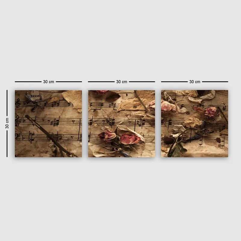 Dekorativ Canvasbillede 3-Dele 30x30 cm, Flerfarvet