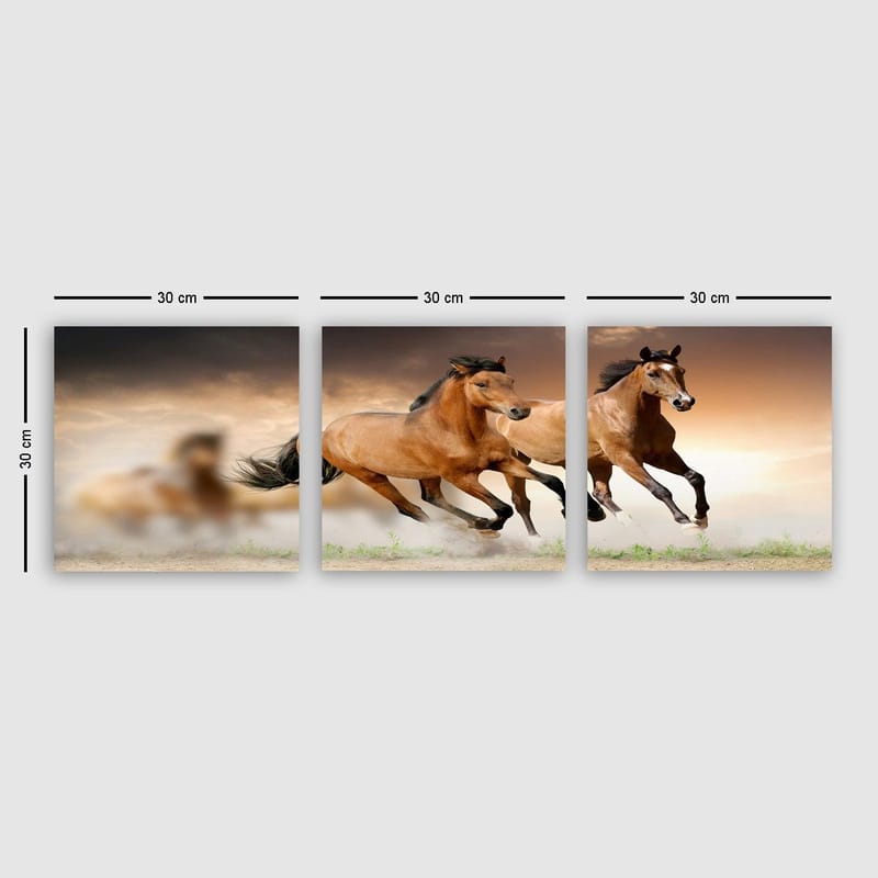 Dekorativ Canvasbillede 3-Dele 30x30 cm, Flerfarvet