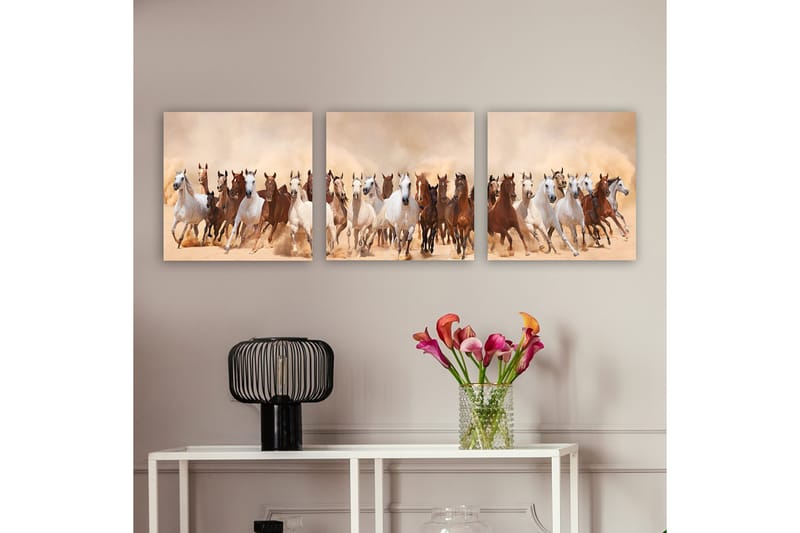 Dekorativ Canvasbillede 3-Dele 30x30 cm, Flerfarvet