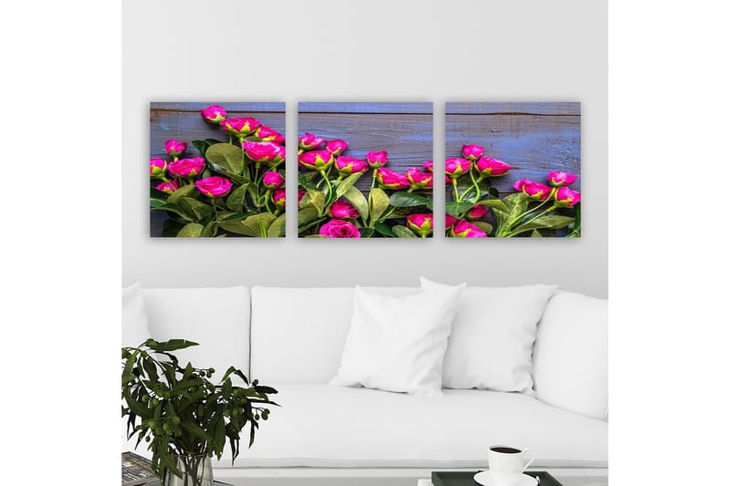 Dekorativ Canvasbillede 3-Dele 30x30 cm, Flerfarvet