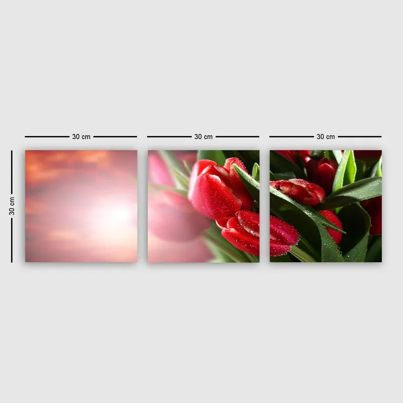 Dekorativ Canvasbillede 3-Dele 30x30 cm, Flerfarvet