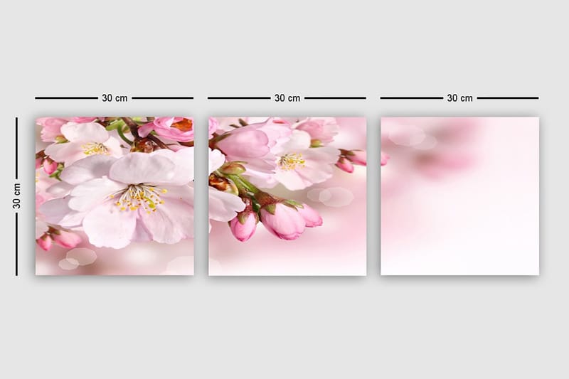 Dekorativ Canvasbillede 3-Dele 30x30 cm - Flerfarvet - Boligtilbehør - Billeder & kunst - Billeder på lærred