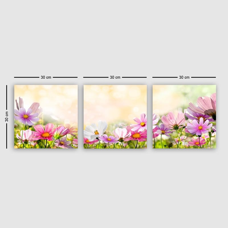 Dekorativ Canvasbillede 3-Dele 30x30 cm, Flerfarvet