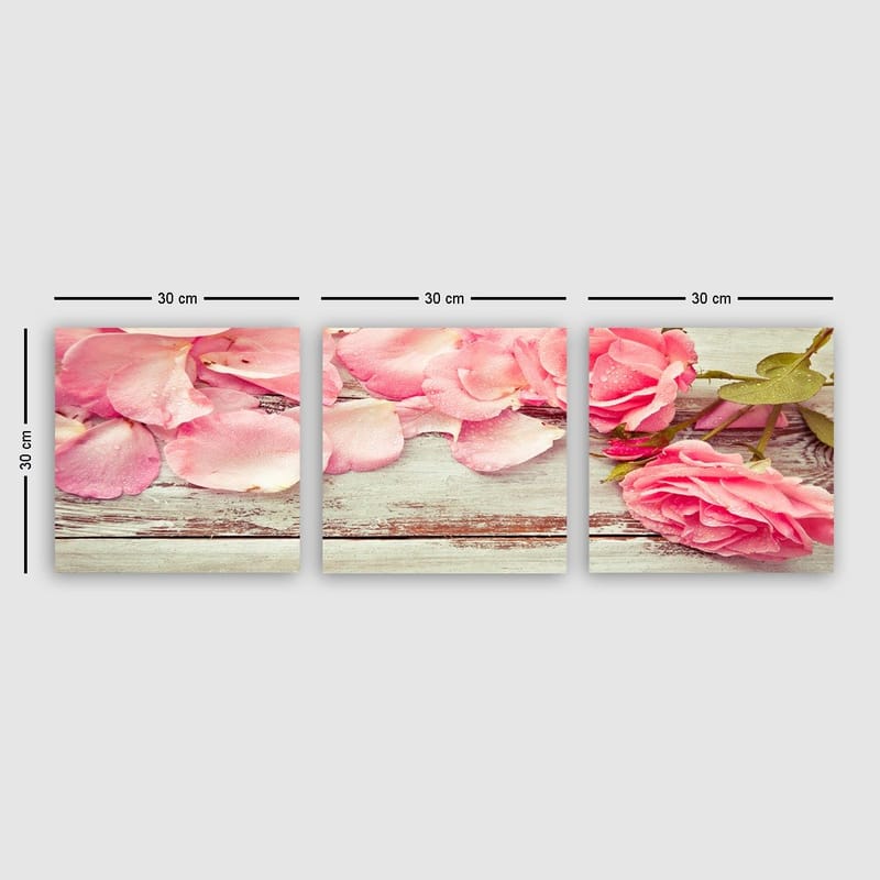 Dekorativ Canvasbillede 3-Dele 30x30 cm, Flerfarvet