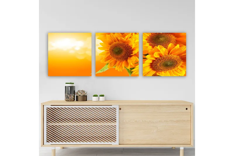 Dekorativ Canvasbillede 3-Dele 30x30 cm, Flerfarvet