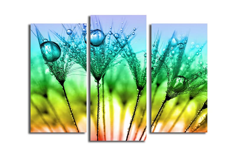 Dekorativ Canvasbillede 3-Dele 45x20 cm - Flerfarvet - Boligtilbehør - Billeder & kunst - Billeder på lærred