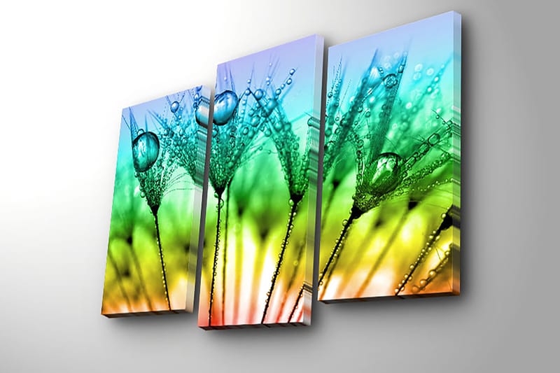 Dekorativ Canvasbillede 3-Dele 45x20 cm - Flerfarvet - Boligtilbehør - Billeder & kunst - Billeder på lærred