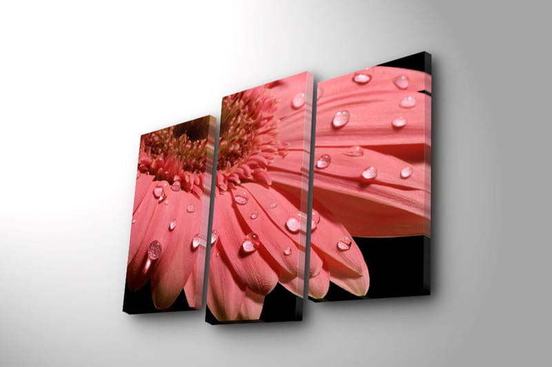 Dekorativ Canvasbillede 3-Dele 45x20 cm - Flerfarvet - Boligtilbehør - Billeder & kunst - Billeder på lærred