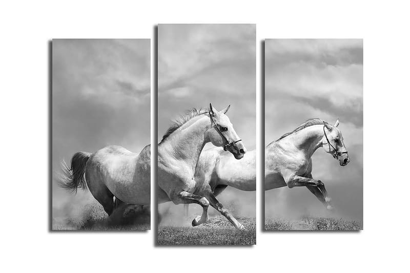 Dekorativ Canvasbillede 3-Dele 45x20 cm - Flerfarvet - Boligtilbehør - Billeder & kunst - Billeder på lærred