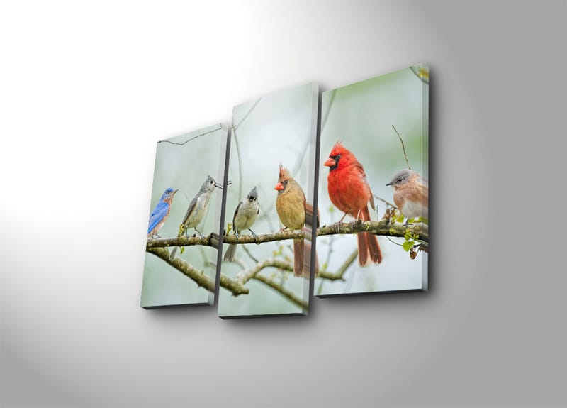 Dekorativ Canvasbillede 3-Dele 45x20 cm - Flerfarvet - Boligtilbehør - Billeder & kunst - Billeder på lærred