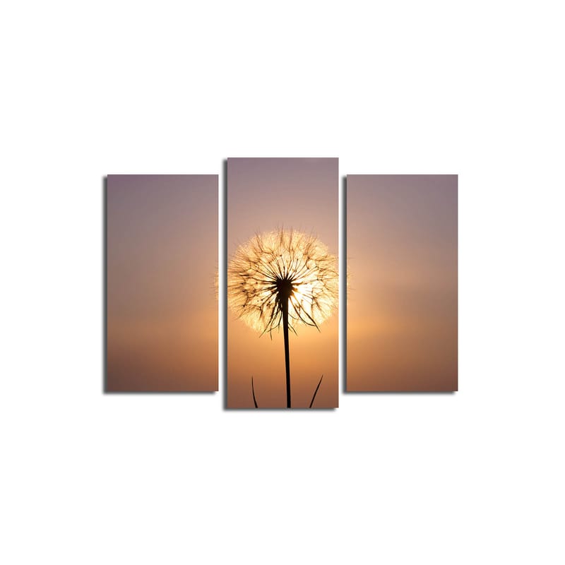 Dekorativ Canvasbillede 3-Dele 45x20 cm - Flerfarvet - Boligtilbehør - Billeder & kunst - Billeder på lærred