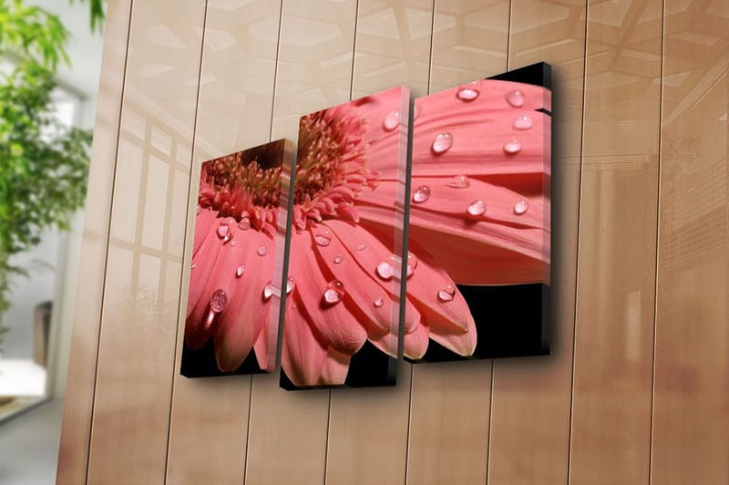 Dekorativ Canvasbillede 3-Dele 45x20 cm - Flerfarvet - Boligtilbehør - Billeder & kunst - Billeder på lærred