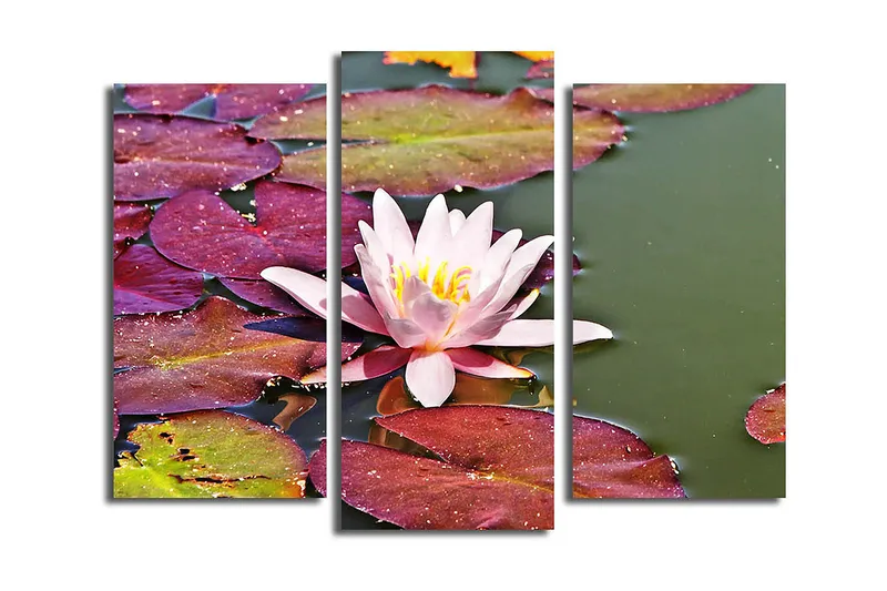 Dekorativ Canvasbillede 3-Dele 45x20 cm, Flerfarvet