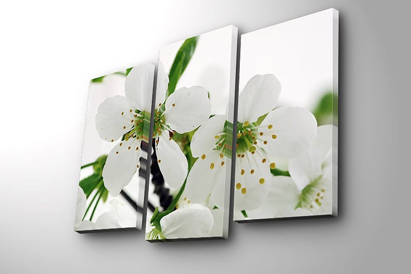 Dekorativ Canvasbillede 3-Dele 45x20 cm - Flerfarvet - Boligtilbehør - Billeder & kunst - Billeder på lærred