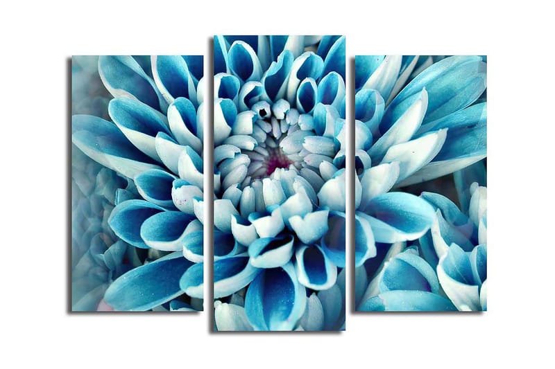 Dekorativ Canvasbillede 3-Dele 45x20 cm, Flerfarvet