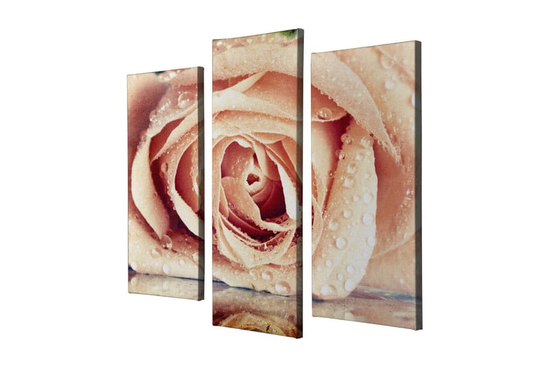 Dekorativ Canvasbillede 3-Dele 45x20 cm - Flerfarvet - Boligtilbehør - Billeder & kunst - Billeder på lærred
