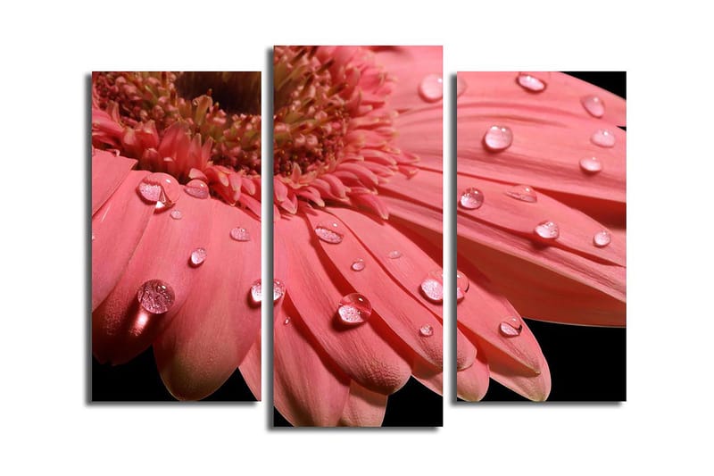 Dekorativ Canvasbillede 3-Dele 45x20 cm, Flerfarvet