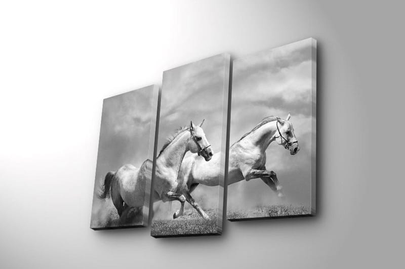 Dekorativ Canvasbillede 3-Dele 45x20 cm - Flerfarvet - Boligtilbehør - Billeder & kunst - Billeder på lærred