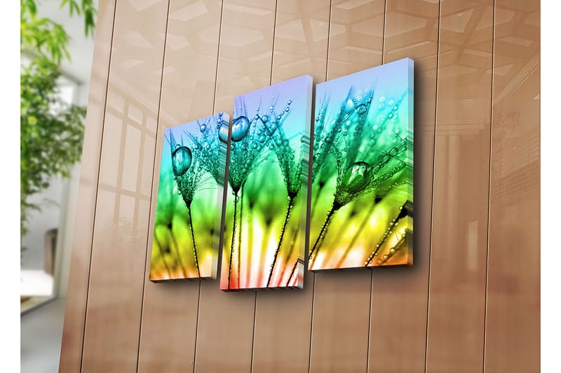 Dekorativ Canvasbillede 3-Dele 45x20 cm - Flerfarvet - Boligtilbehør - Billeder & kunst - Billeder på lærred