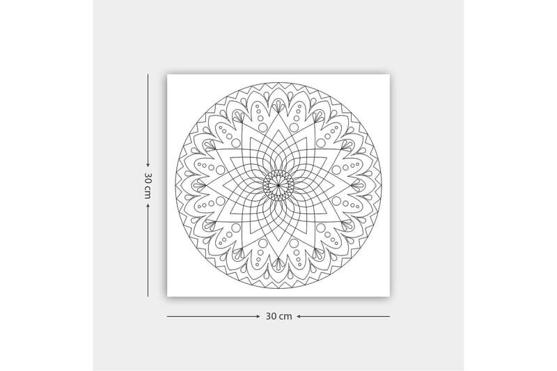 Dekorativ Canvasbillede 30x30 cm - Hvid|Sort - Boligtilbehør - Billeder & kunst - Billeder på lærred