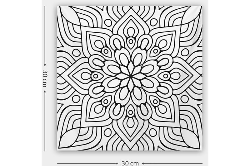 Dekorativ Canvasbillede 30x30 cm - Hvid|Sort - Boligtilbehør - Billeder & kunst - Billeder på lærred