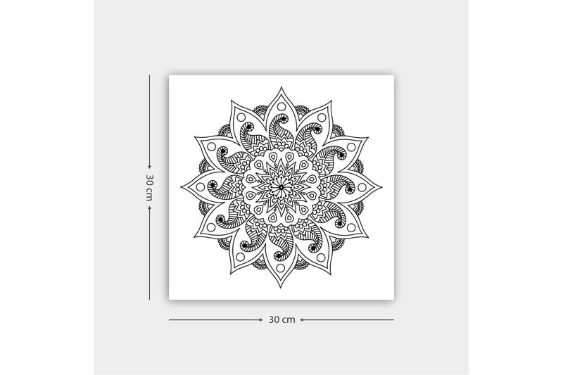 Dekorativ Canvasbillede 30x30 cm - Hvid|Sort - Boligtilbehør - Billeder & kunst - Billeder på lærred