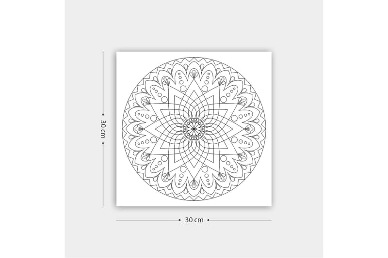 Dekorativ Canvasbillede 30x30 cm - Hvid|Sort - Boligtilbehør - Billeder & kunst - Billeder på lærred