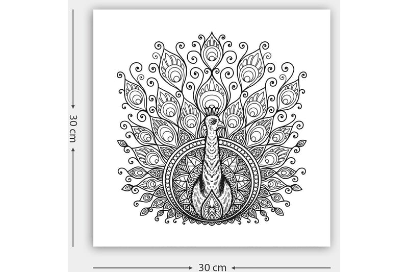 Dekorativ Canvasbillede 30x30 cm - Hvid|Sort - Boligtilbehør - Billeder & kunst - Billeder på lærred