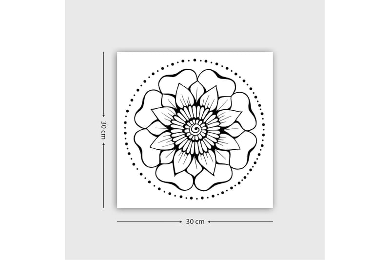 Dekorativ Canvasbillede 30x30 cm - Hvid|Sort - Boligtilbehør - Billeder & kunst - Billeder på lærred