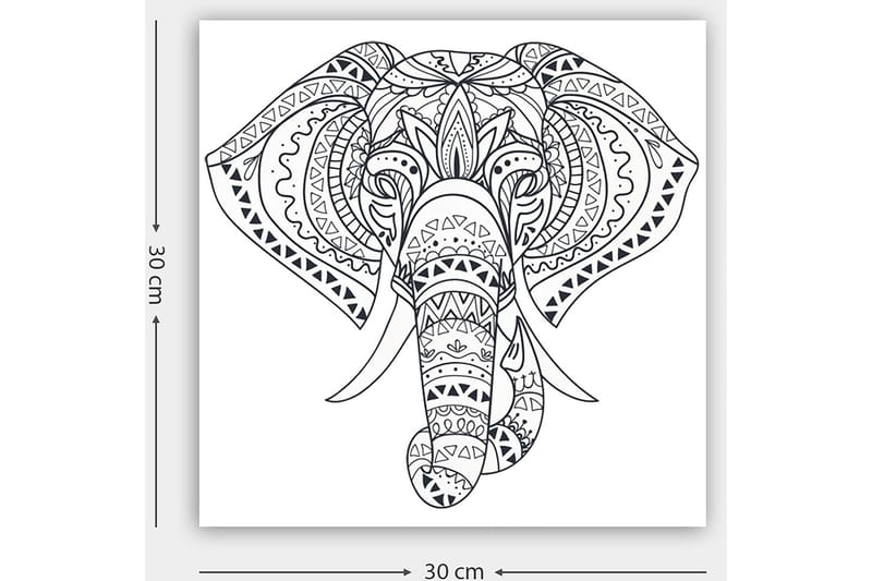 Dekorativ Canvasbillede 30x30 cm - Hvid|Sort - Boligtilbehør - Billeder & kunst - Billeder på lærred