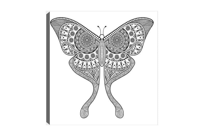 Dekorativ Canvasbillede 30x30 cm, Hvid|Sort