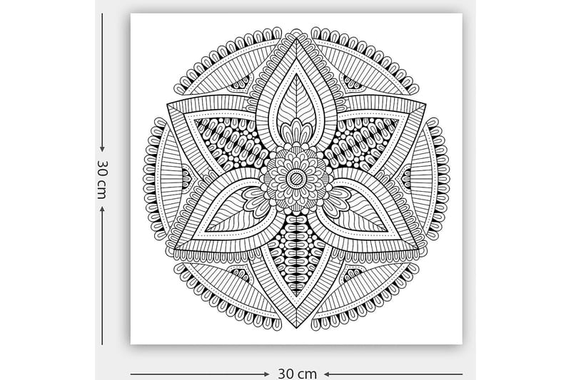 Dekorativ Canvasbillede 30x30 cm - Hvid|Sort - Boligtilbehør - Billeder & kunst - Billeder på lærred