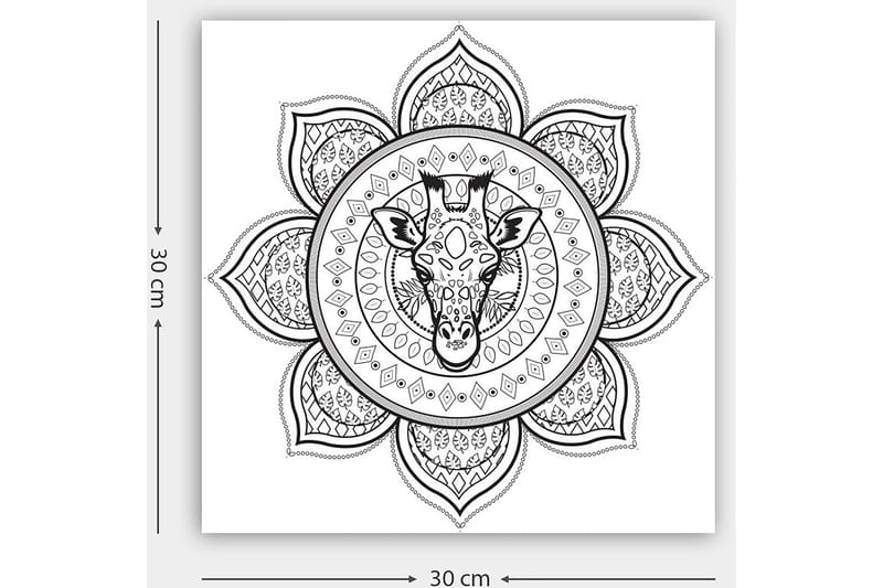 Dekorativ Canvasbillede 30x30 cm - Hvid|Sort - Boligtilbehør - Billeder & kunst - Billeder på lærred