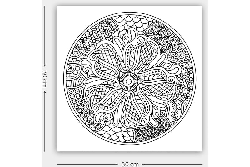 Dekorativ Canvasbillede 30x30 cm - Hvid|Sort - Boligtilbehør - Billeder & kunst - Billeder på lærred