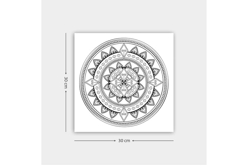 Dekorativ Canvasbillede 30x30 cm - Hvid|Sort - Boligtilbehør - Billeder & kunst - Billeder på lærred