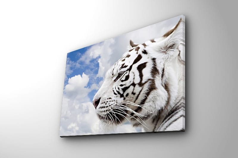 Dekorativ Canvasbillede 30x40 cm - Flerfarvet - Boligtilbehør - Billeder & kunst - Billeder på lærred