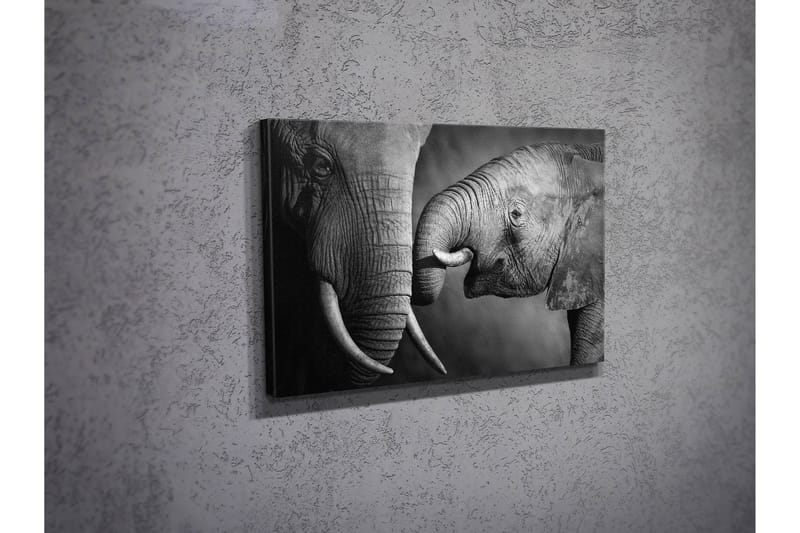 Dekorativ Canvasbillede 30x40 cm - Flerfarvet - Boligtilbehør - Billeder & kunst - Billeder på lærred