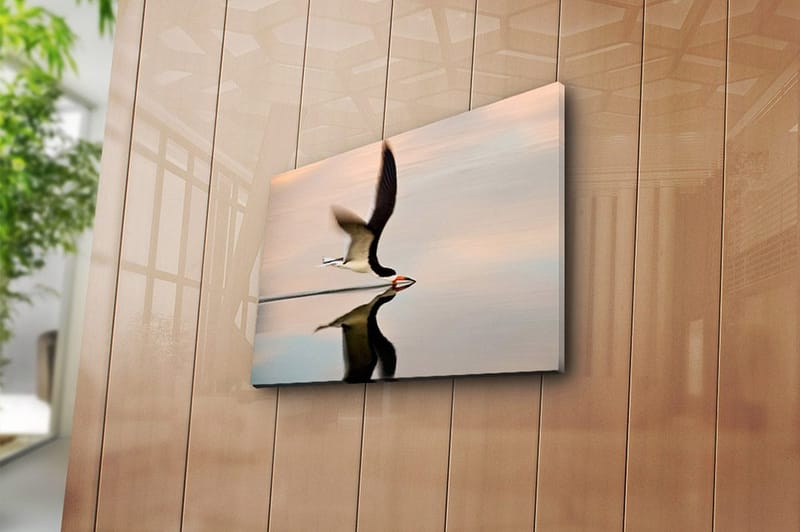 Dekorativ Canvasbillede 30x40 cm - Flerfarvet - Boligtilbehør - Billeder & kunst - Billeder på lærred