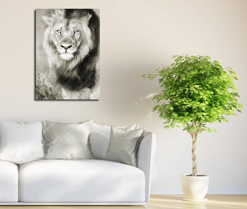 Dekorativ Canvasbillede 30x40 cm, Flerfarvet