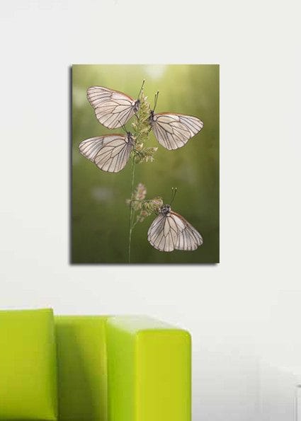 Dekorativ Canvasbillede 30x40 cm - Flerfarvet - Boligtilbehør - Billeder & kunst - Billeder på lærred