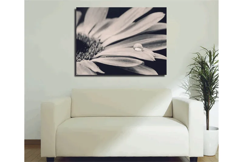 Dekorativ Canvasbillede 30x40 cm, Flerfarvet