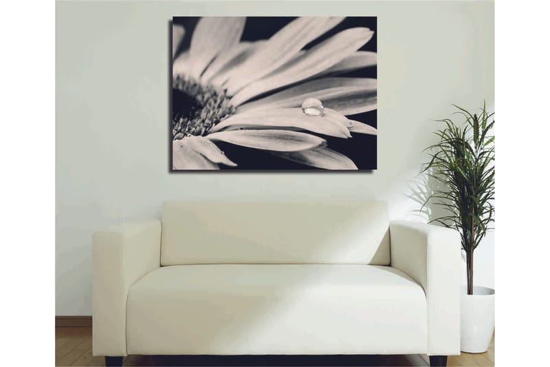 Dekorativ Canvasbillede 30x40 cm, Flerfarvet