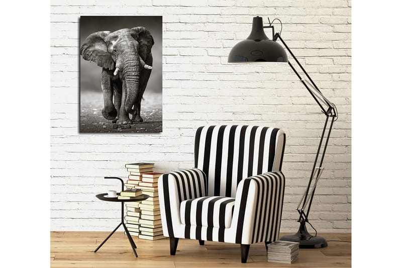 Dekorativ Canvasbillede 30x40 cm, Flerfarvet