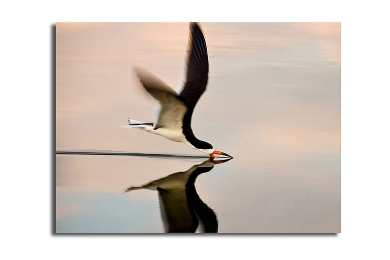 Dekorativ Canvasbillede 30x40 cm, Flerfarvet