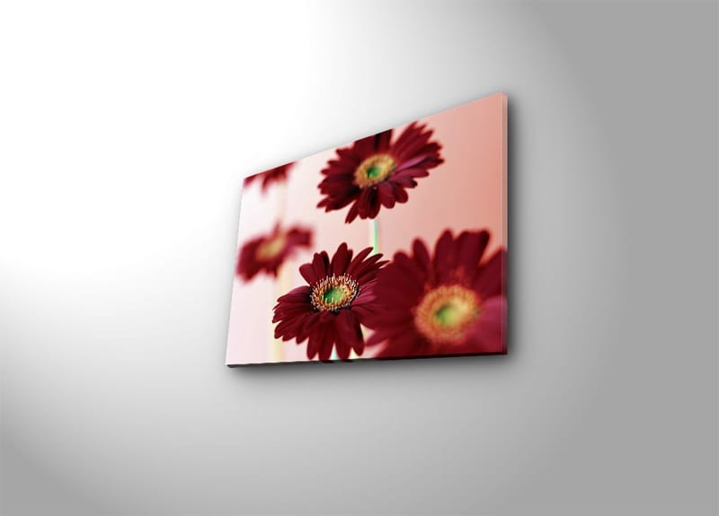 Dekorativ Canvasbillede 30x40 cm, Flerfarvet