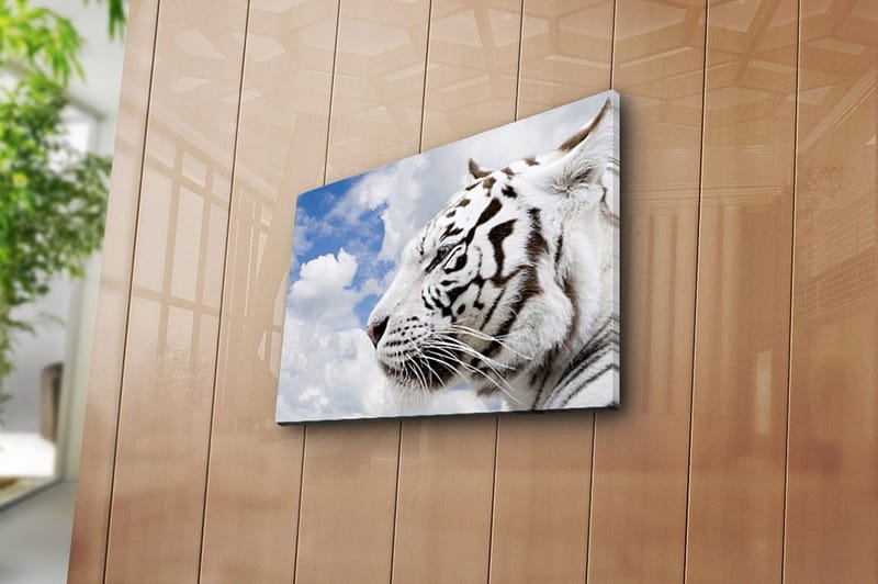 Dekorativ Canvasbillede 30x40 cm - Flerfarvet - Boligtilbehør - Billeder & kunst - Billeder på lærred