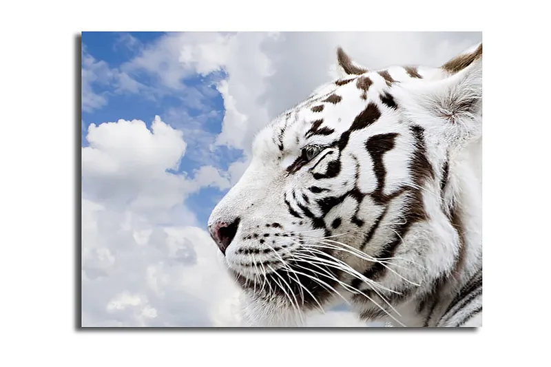 Dekorativ Canvasbillede 30x40 cm, Flerfarvet