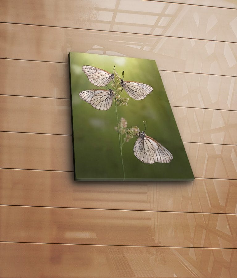 Dekorativ Canvasbillede 30x40 cm - Flerfarvet - Boligtilbehør - Billeder & kunst - Billeder på lærred